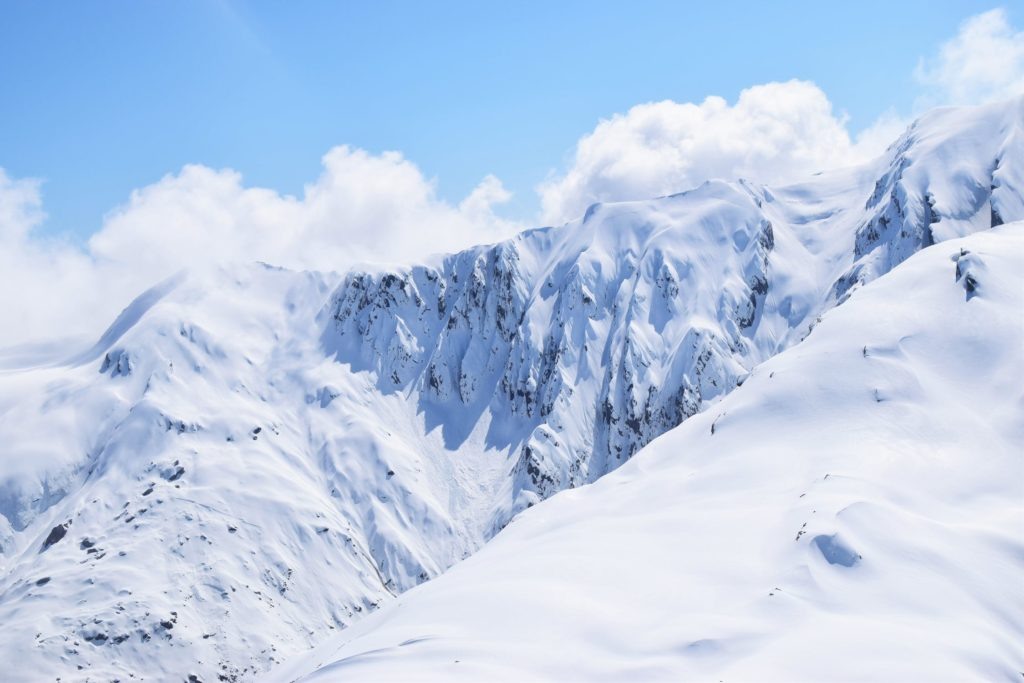    Фото: pexels.com