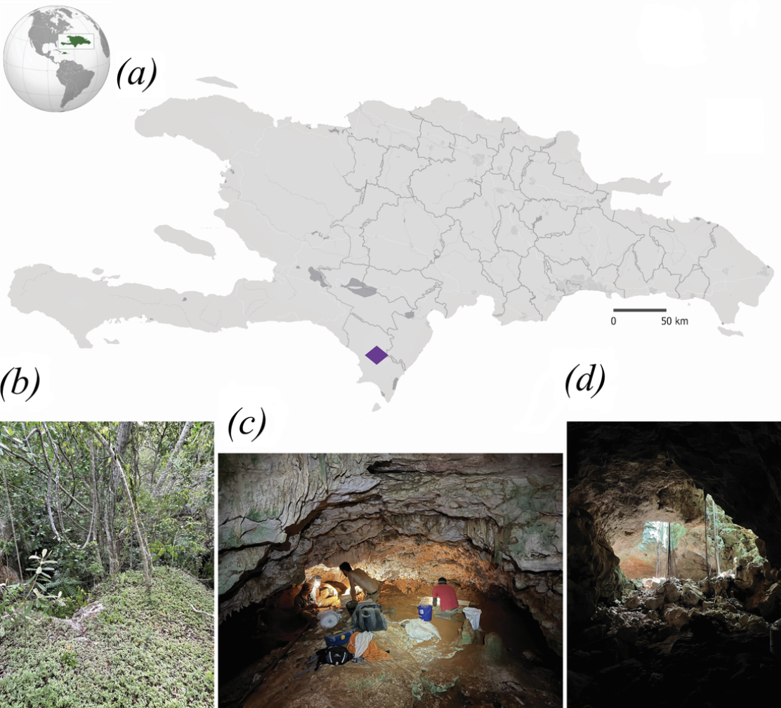 Место исследования — гроты на острове Эспаньола. 