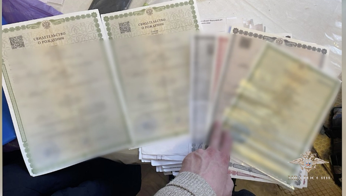 Фото: телеграм-канал официального представителя МВД России Ирины Волк