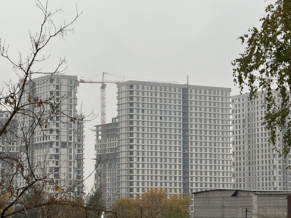    Фото: REGIONS/Илья Попов