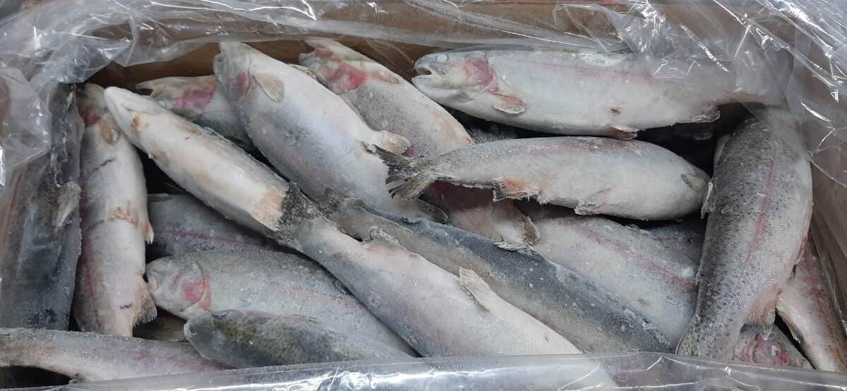 Купите Ире!