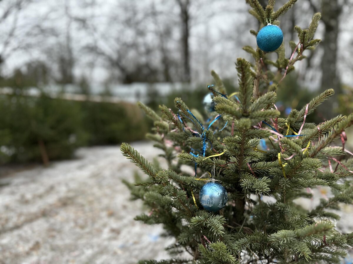    Фото: REGIONS/Кристина Тришина