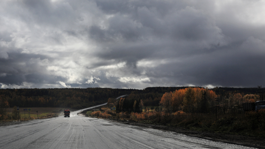    Фото: © РИА Новости/Мария Плотникова; 5-tv.ru