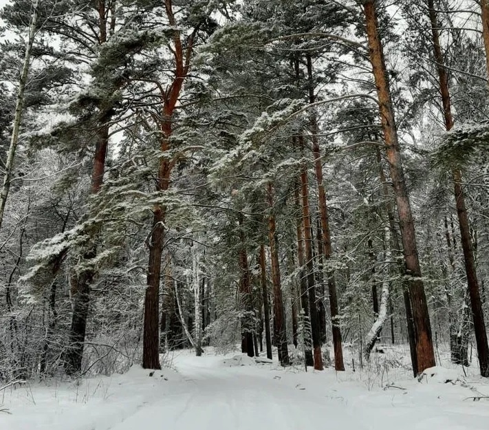 Территория поселка "Клевер"
