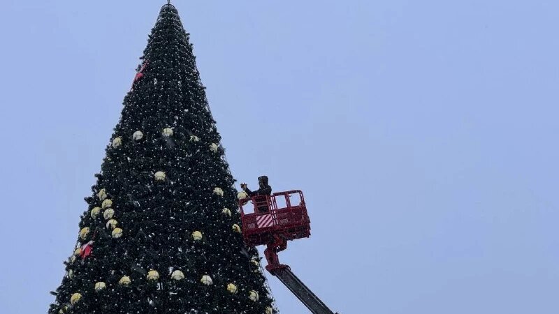     Главная елка в Барнауле на пл. Свободы 2025. Екатерина Карзова