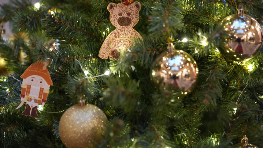    Фото: ИЗВЕСТИЯ/Дмитрий Коротаев