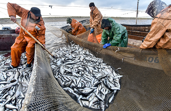    Денис Кожевников/ТАСС