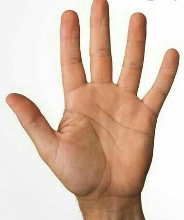 фото из открытого доступного источника сети интернет