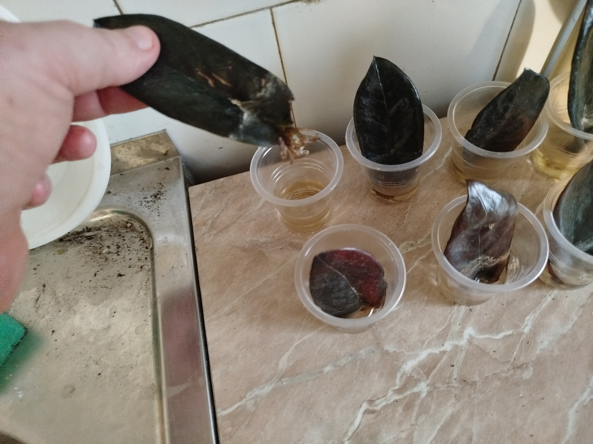 фото автора канала