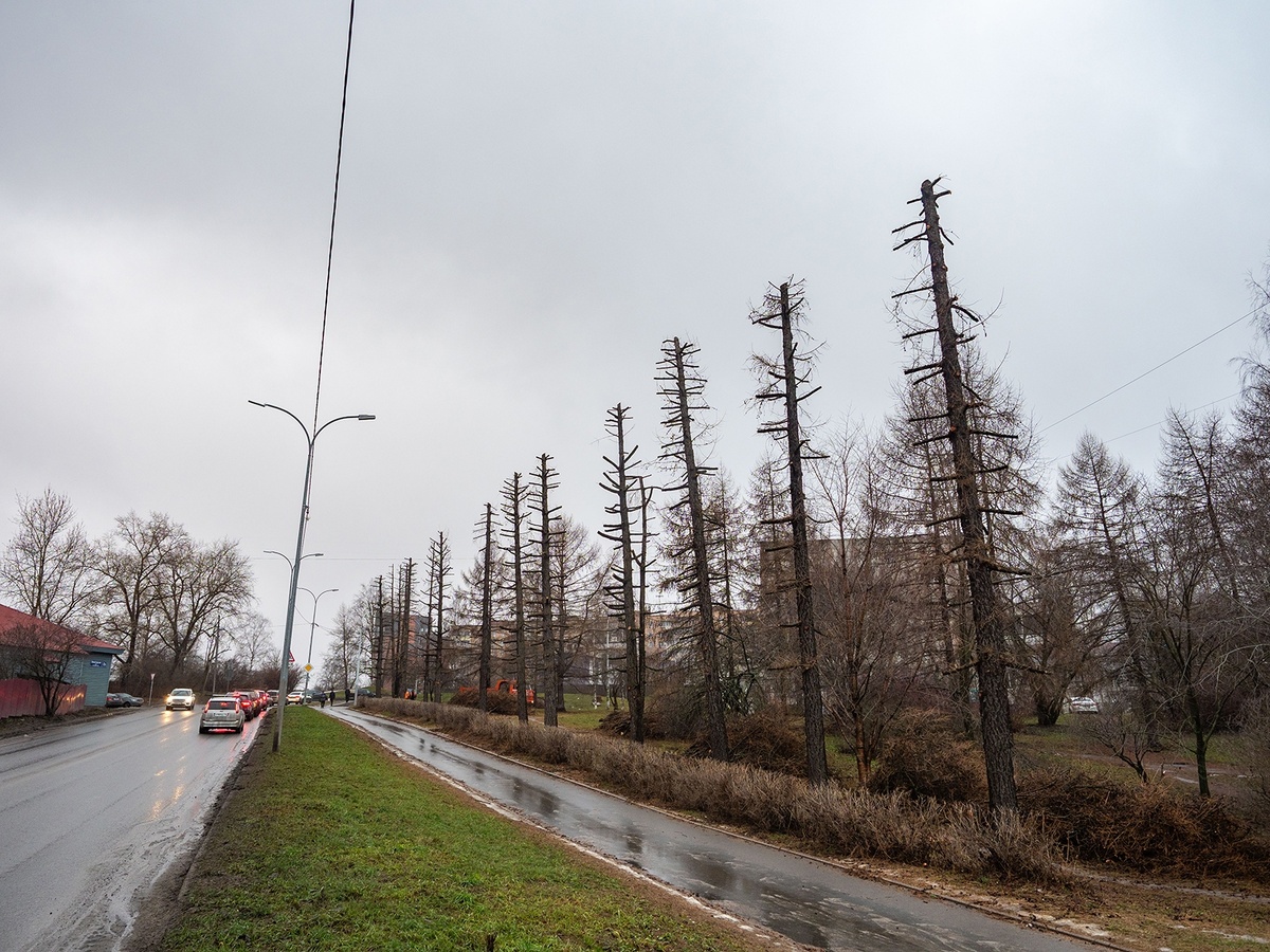    фото: © Игорь Подгорный