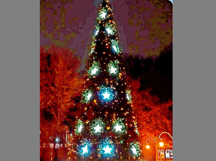     Фото администрации Воронежа