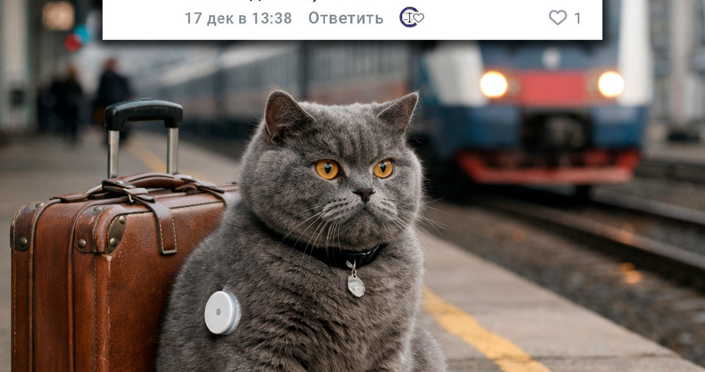 Как осуществляется льготное лекарственное обеспечение при переезде в другой регион?