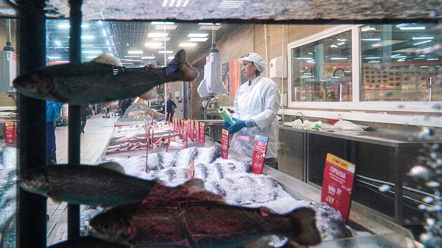    Фото: ИЗВЕСТИЯ/Анна Селина