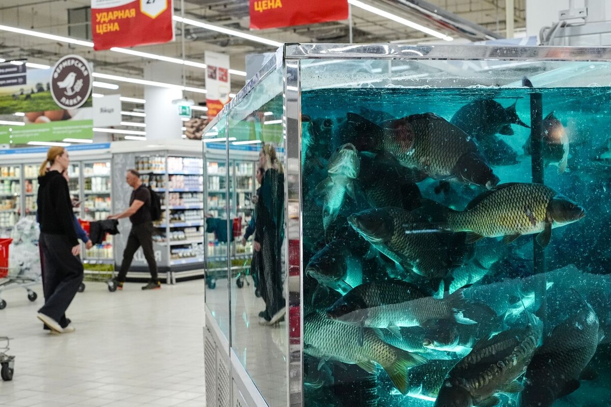     / Источник: © ИЗВЕСТИЯ/Сергей Лантюхов