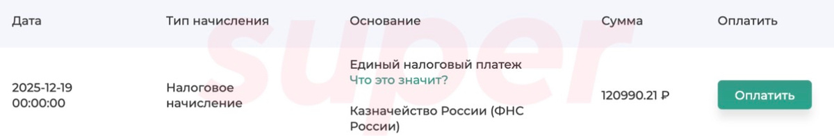    Скриншот: gosnalogi.ru