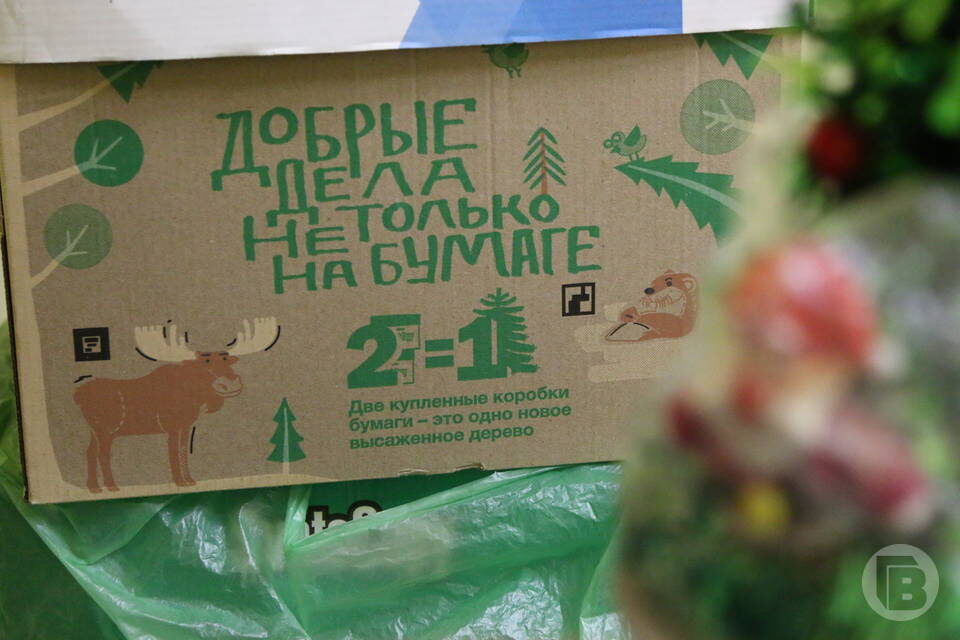    Фото: Матвей Горбунов, Дмитрий Рогулин / "Городские вести"