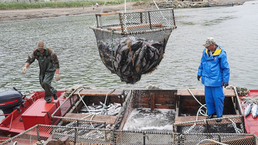    Фото: ИЗВЕСТИЯ/Павел Волков; 5-tv.ru