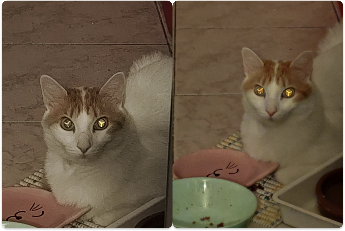 (с) So_ra_ya / Reddit 