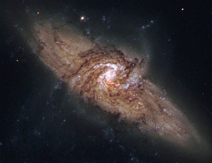 На прямой линии президента