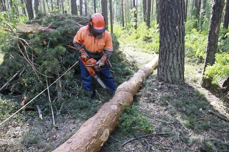    Любая добыча природных ресурсов должна опираться на разрешительные документы Олег УКЛАДОВ