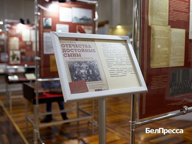 Фото: Елена Журавлёва