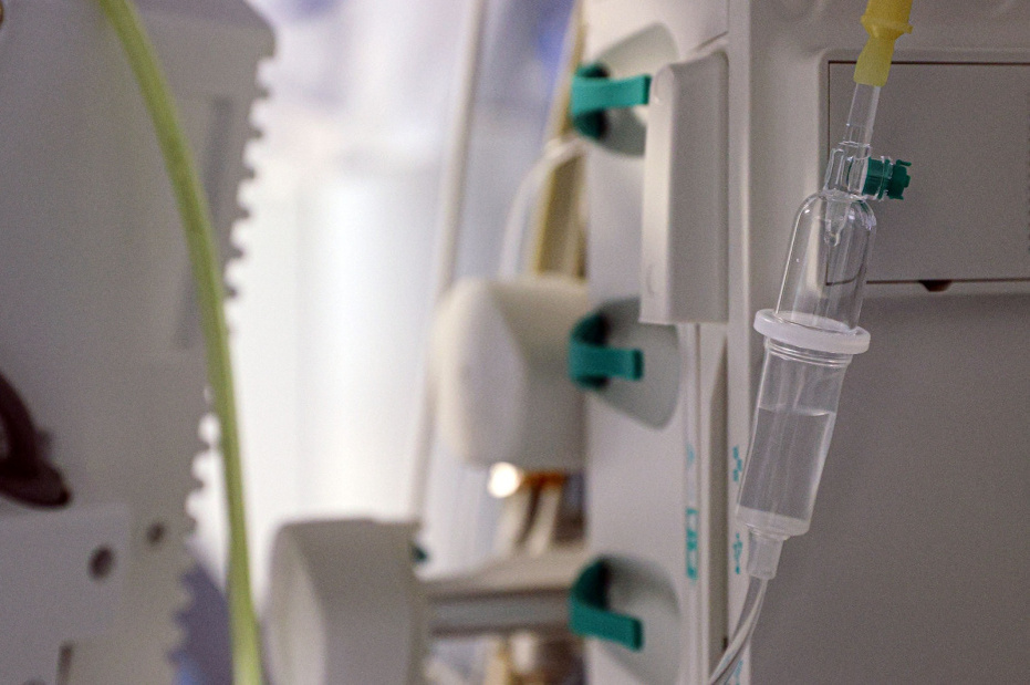    Сергей Булкин/NEWS.ru