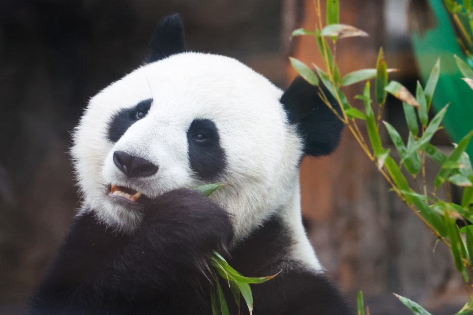    Алексей Белкин/NEWS.ru