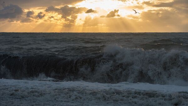    © Sputnik / Нина Зотина