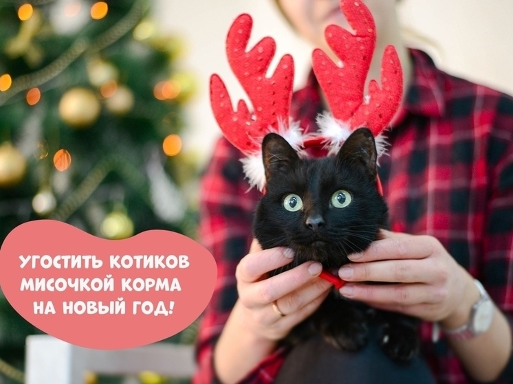     Приют «Матроскин»