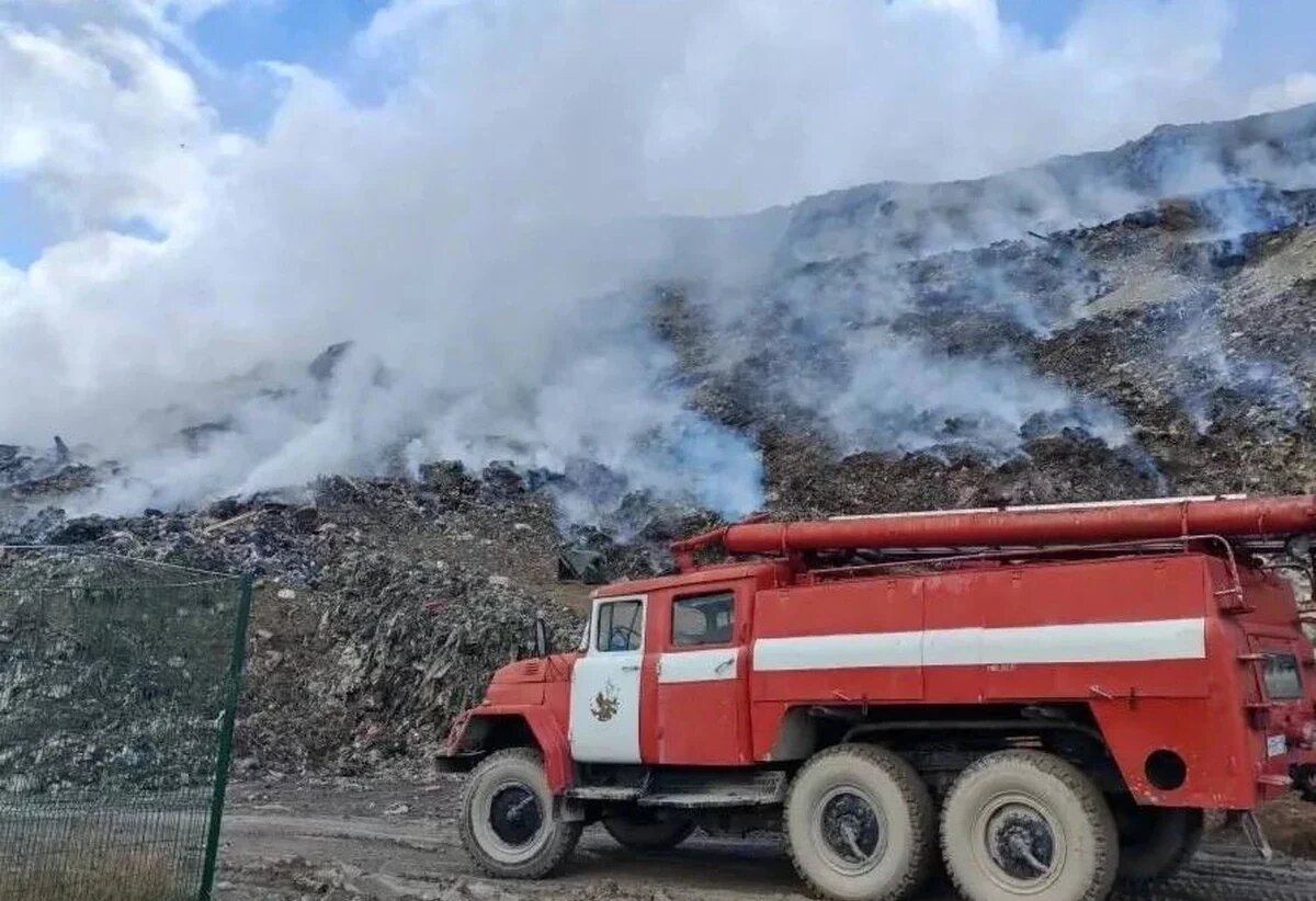    Фото t.me/Gavrikovzam