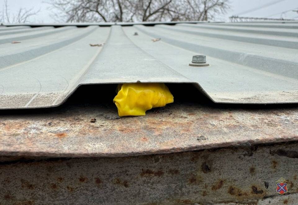    Фото: ГУ МВД по Волгоградской области