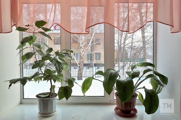 Фото - "Татар-информ" архивыннан