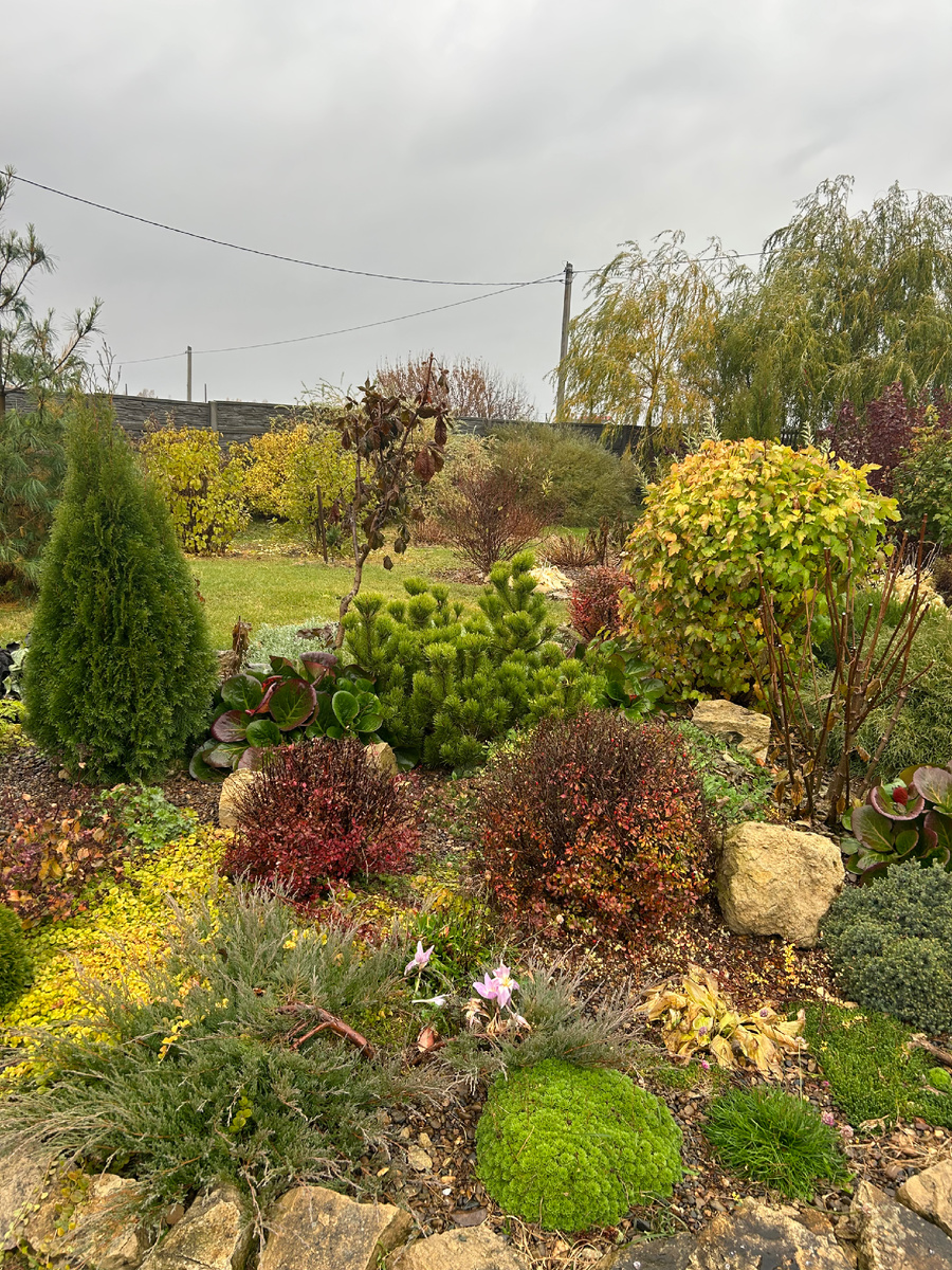 Миксбордеры на гравийной отсыпке. Фото Мой второй сад