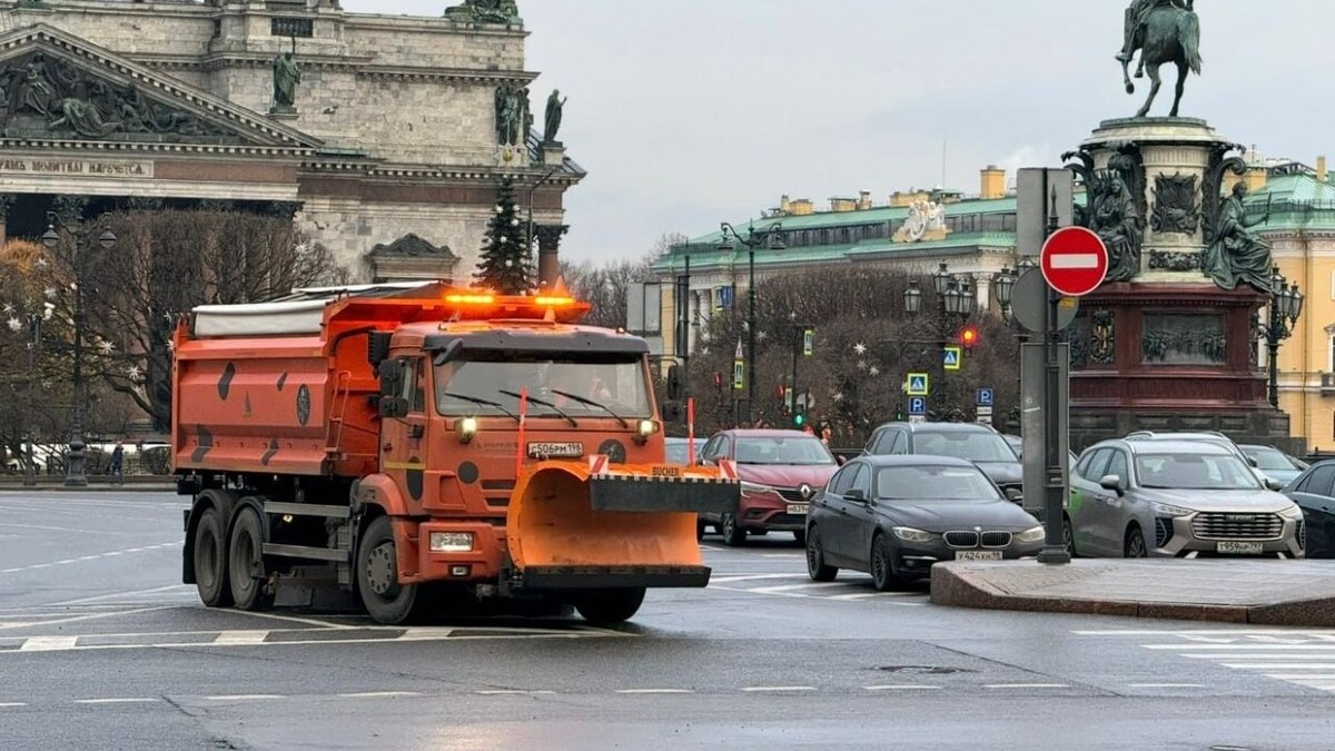     Источник: Telegram-канал председателя комитета по благоустройству Петербурга Сергея Петриченко