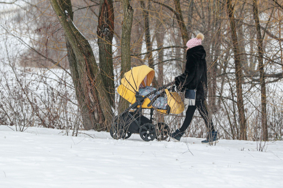    Сергей Булкин/NEWS.ru