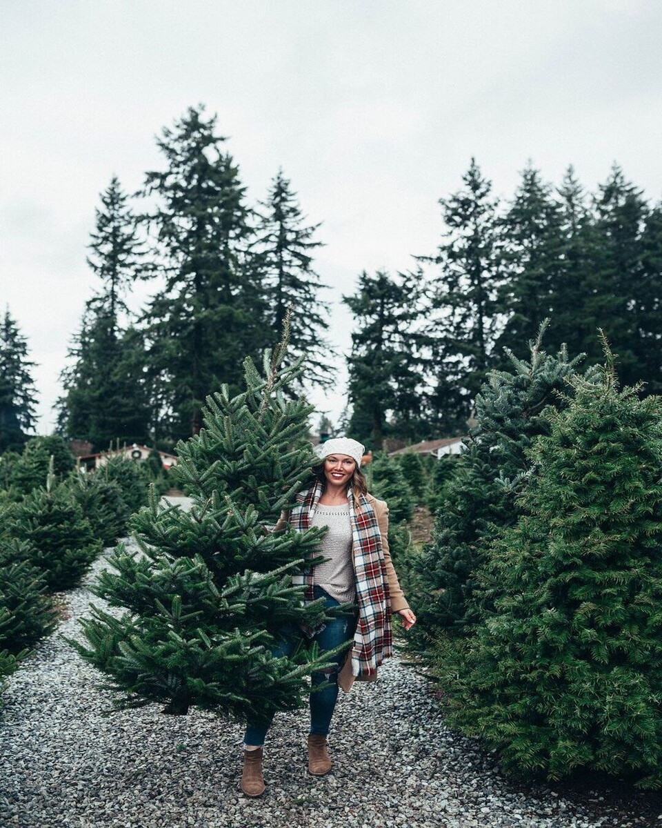 Источник: Pinterest