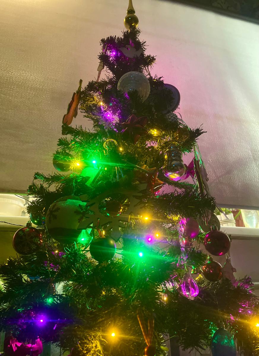 Наша ёлочка