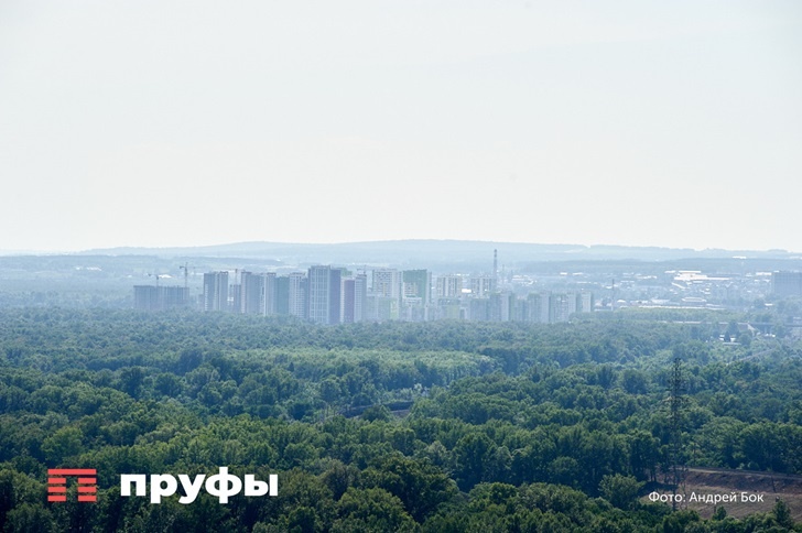    Фото: Пруфы