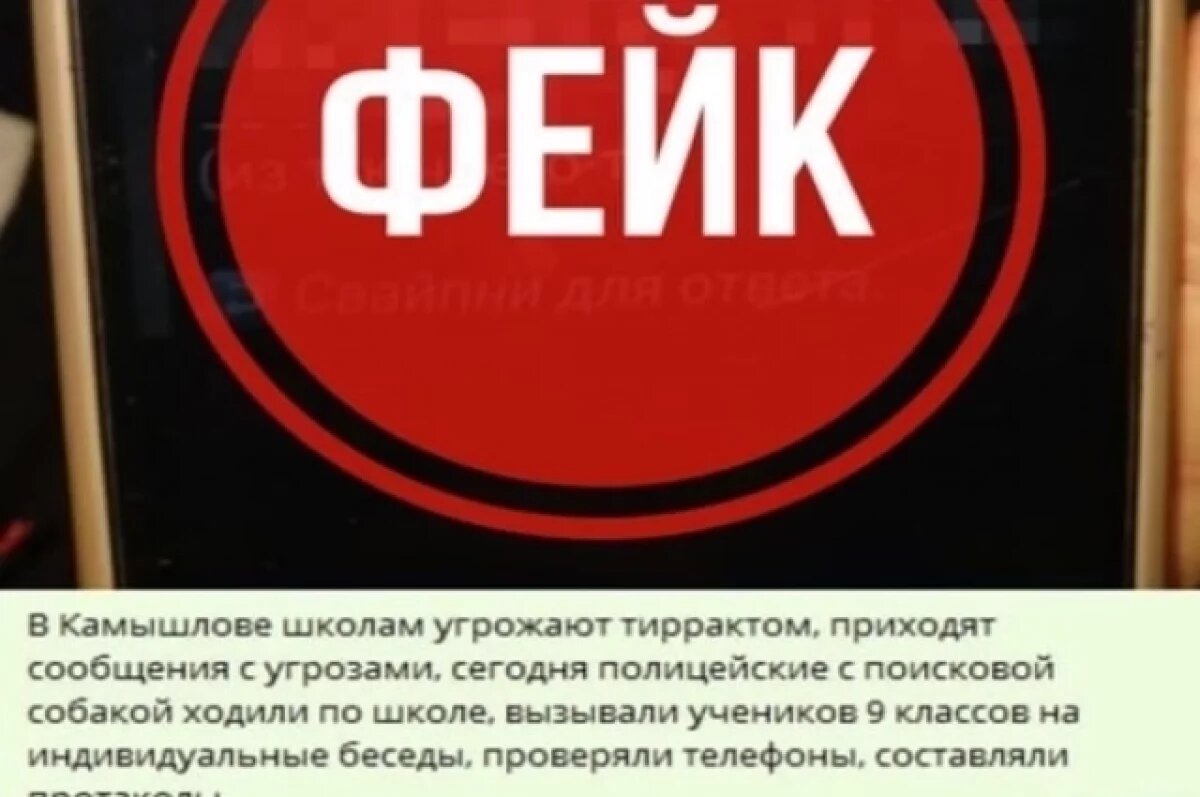    На Урале распространяют фейки о готовящемся нападении на учебные заведения
