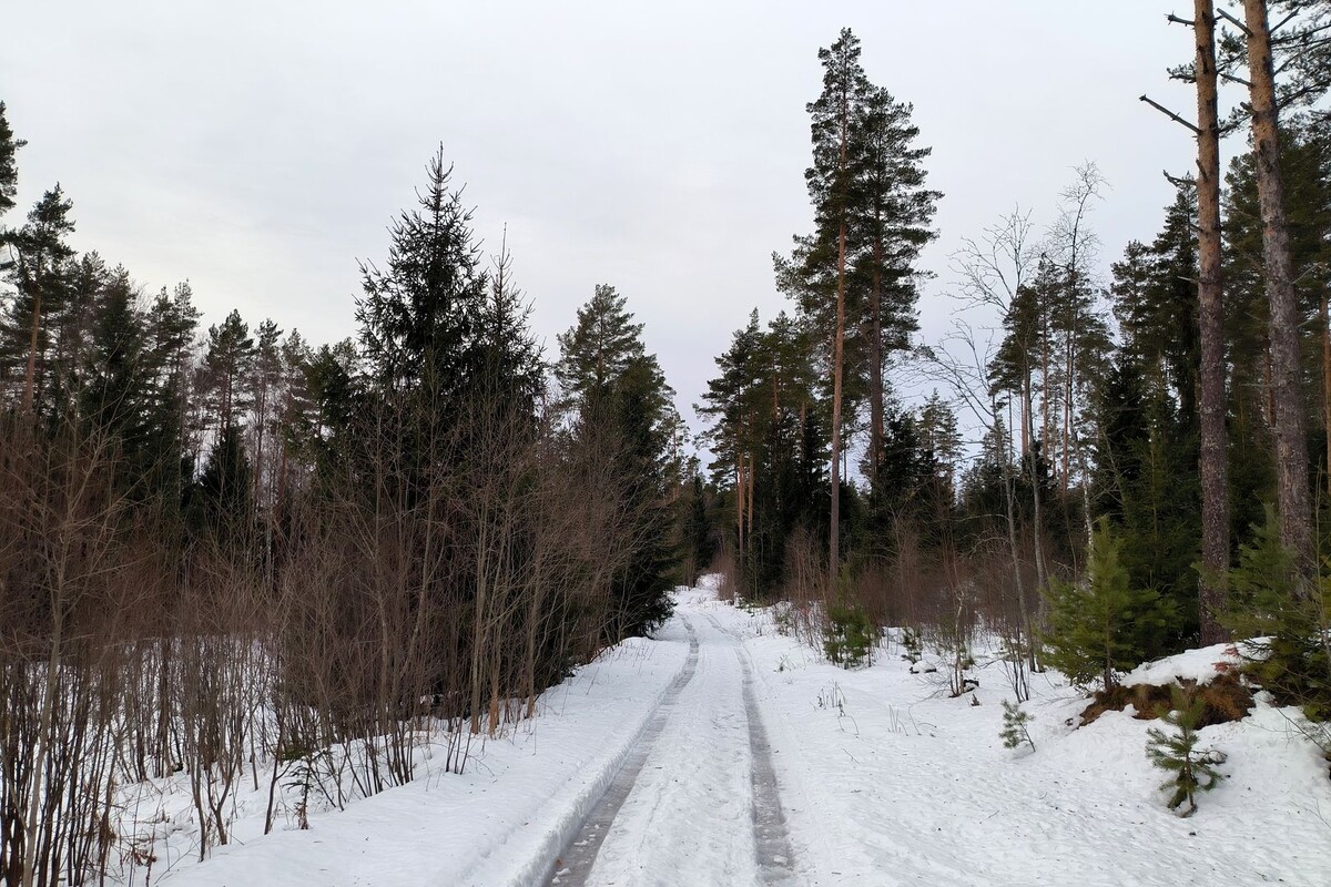     / Источник: © Maksim Konstantinov/Global Look Press