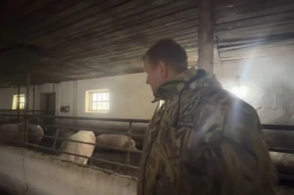    Директор «Тайгана» Зубков занялся разведением поросят с необычным окрасом