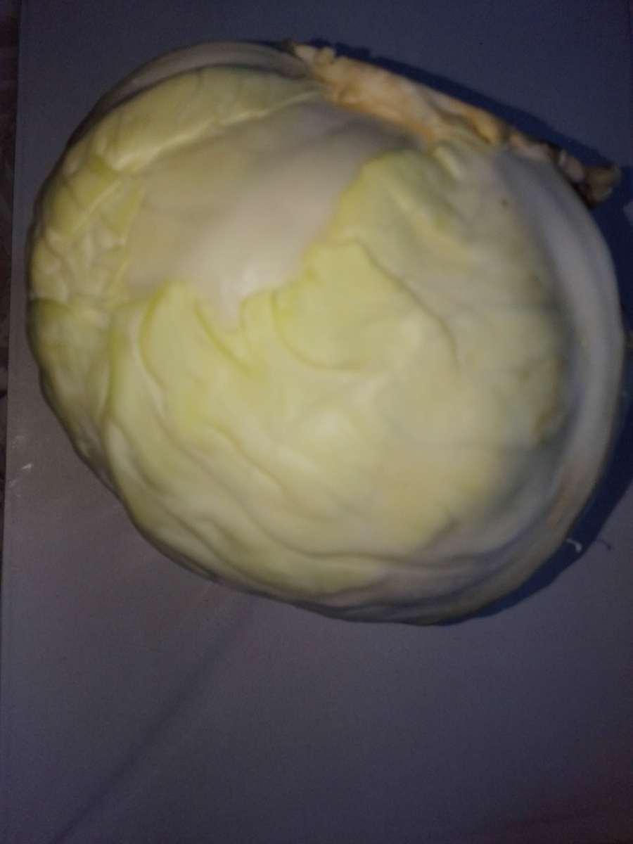 Фото автора. Хоть знаете, сколько блюд можно приготовить только из капусты при цене 18-21 рублей за кг? 