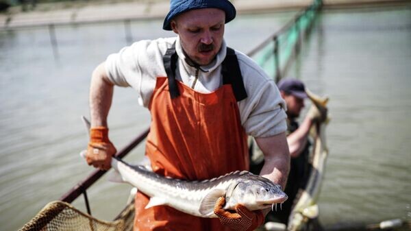    © РИА Новости . Виталий Тимкив