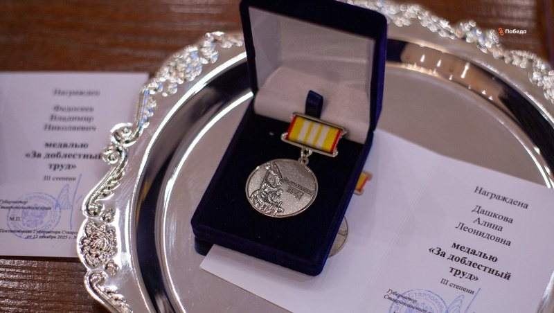    Медаль «За доблестный труд» Фото: Артём Хорошилов / / ИА «Победа26»