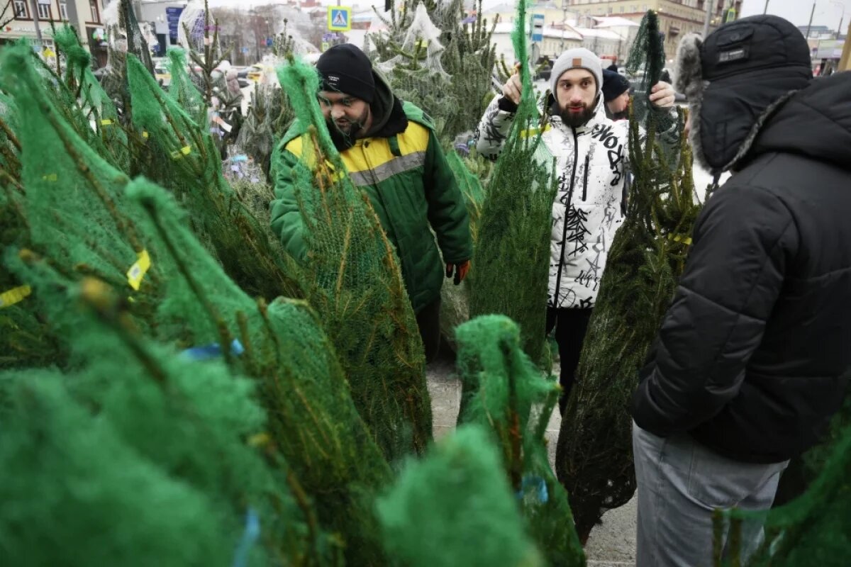    Елочные базары появятся во всех административных округах столицы — от ЦАО до ТиНАО.