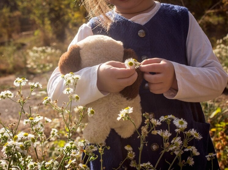     Путин призвал СМИ повлиять на умы россиян. Фото: Архив МК в Великом Новгороде