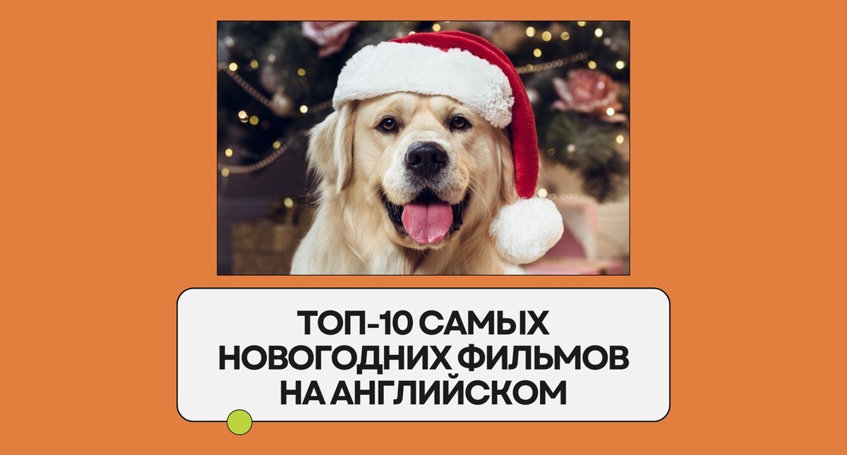 Изображение: Family English