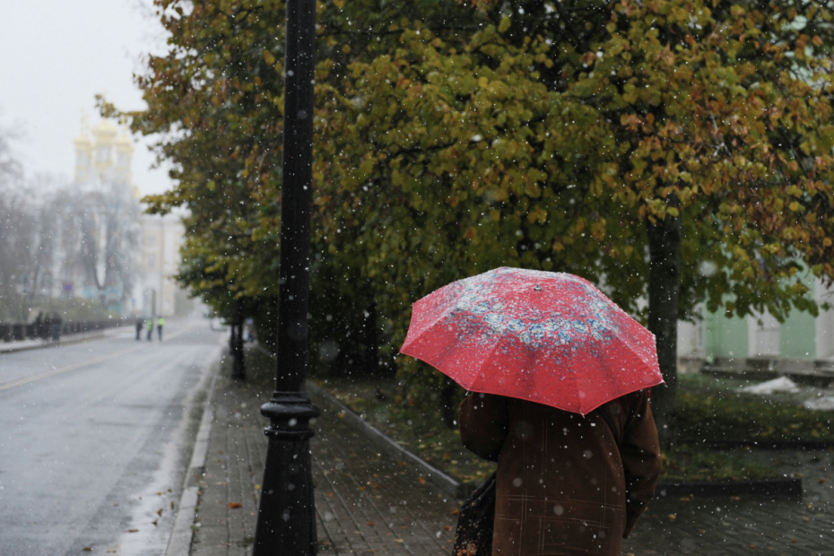    Сергей Ермохин/РИА Новости
