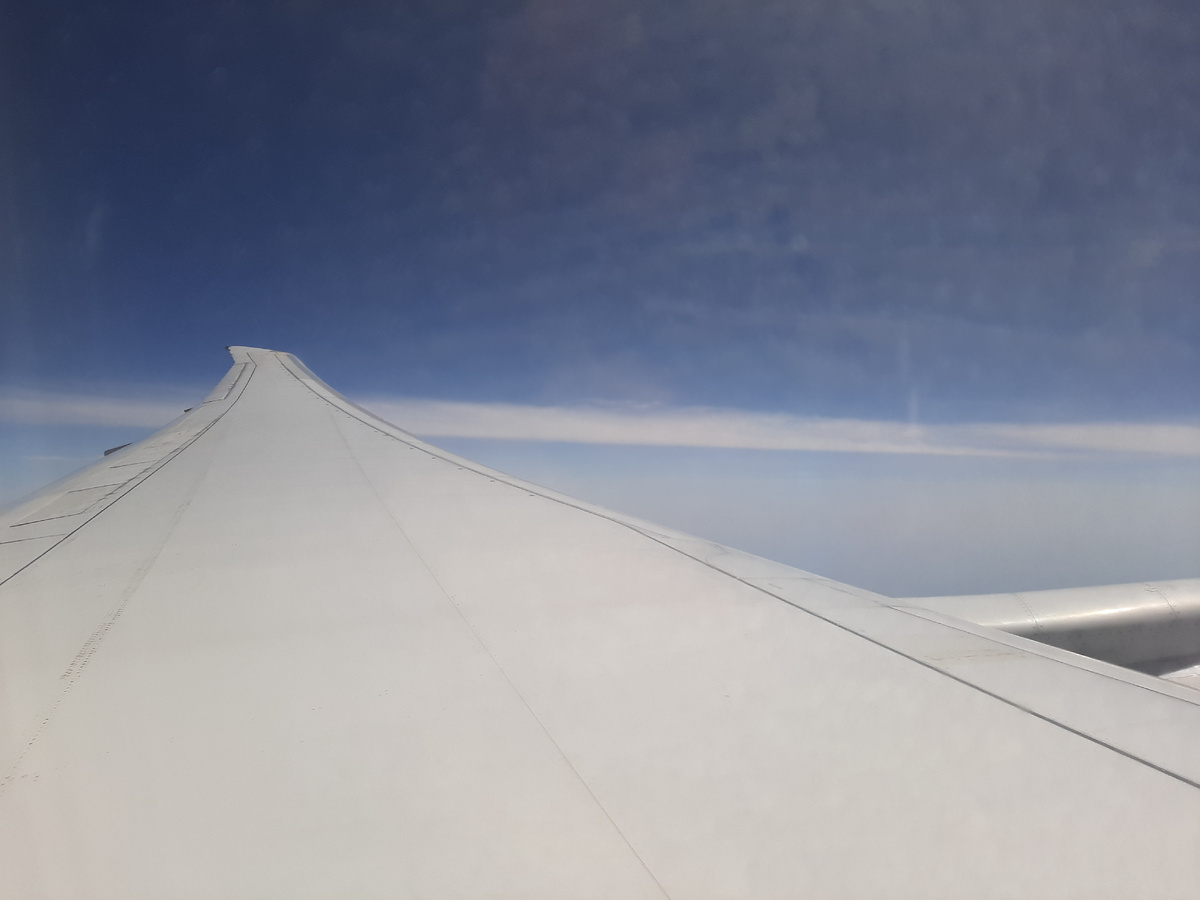 Над крылом сидела.