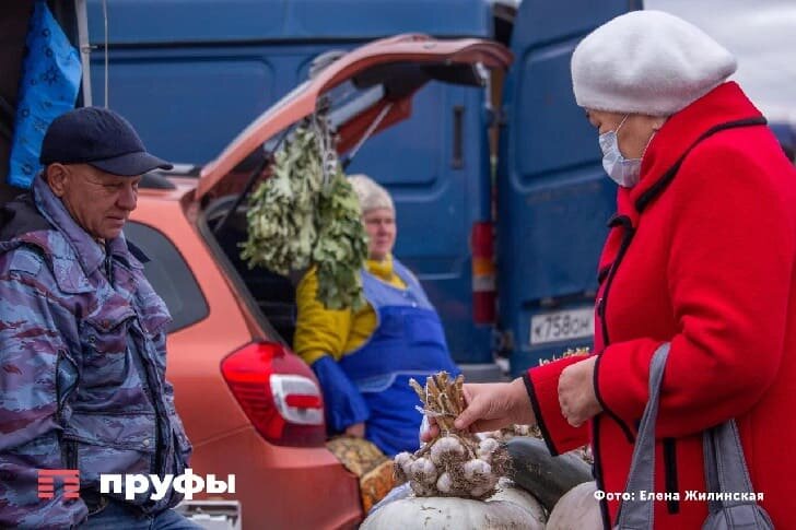    Фото: Пруфы